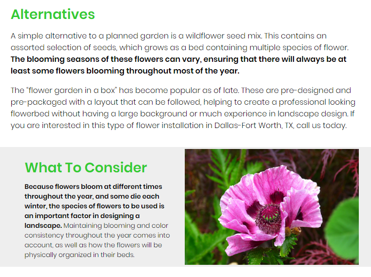 Blog Article With Flower Picture