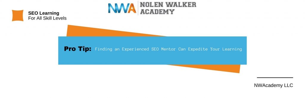 Graphic Showing Mentorship Pro Tip
