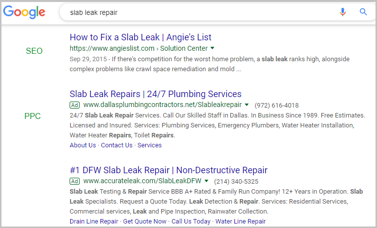 SEO and PPC Search Examples of Organic and Paid Search Marketing Results
