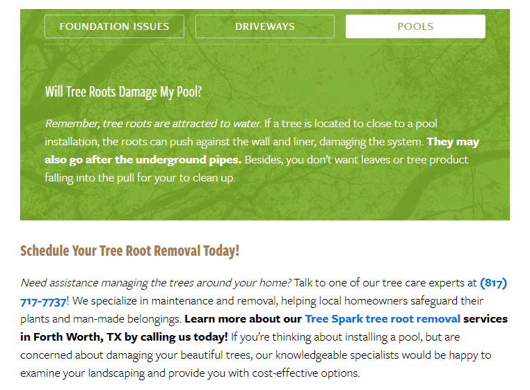 Swimming Pool Blog Post A Blog Post About Tree Root Damage