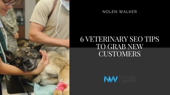 Veterinary SEO Veterinary SEO